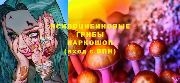 spice Сафоново