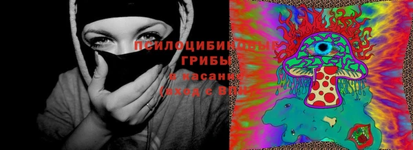 трава Надым