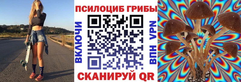 Псилоцибиновые грибы GOLDEN TEACHER Белебей