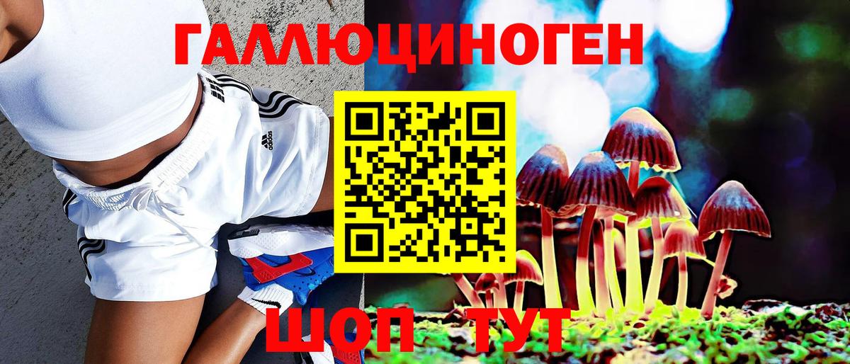 Псилоцибиновые грибы GOLDEN TEACHER  Белебей 